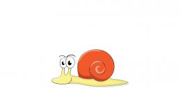 vectorsnail